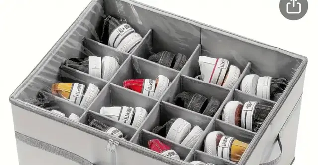 Shoes Storage Box