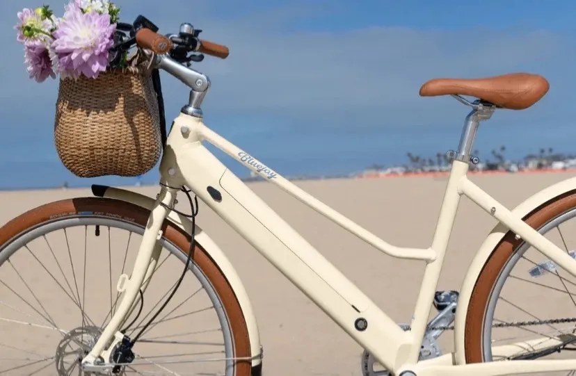 Bluejay E-Bikes | MCKENNA20 for 20% off