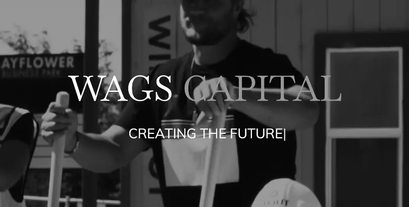 Wags Capital - View Our Company Website 