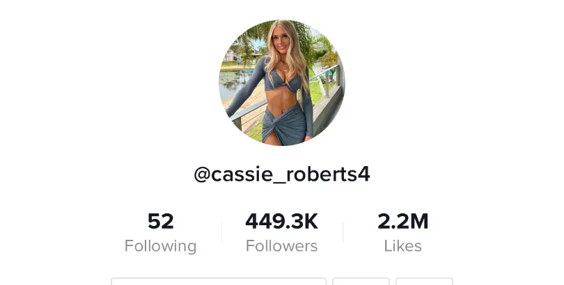 Follow On TikTok