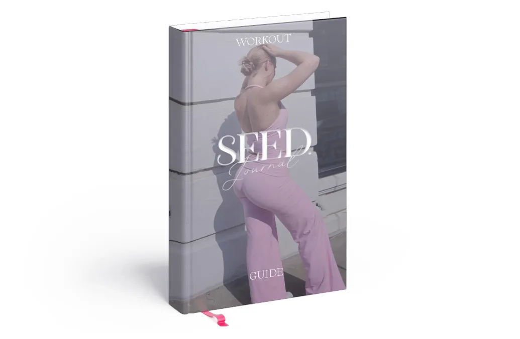 beginner workout PDF