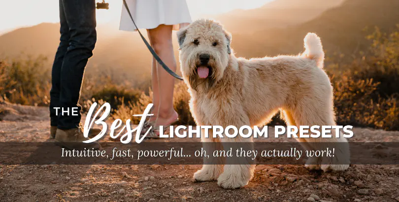 Learn More About Visual Flow Presets