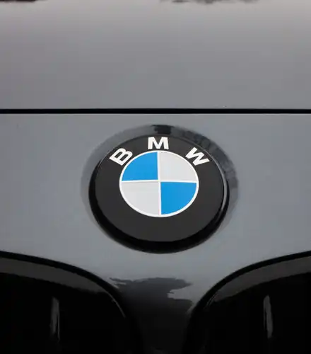 Painted F & G BMW Roundels | American Panda