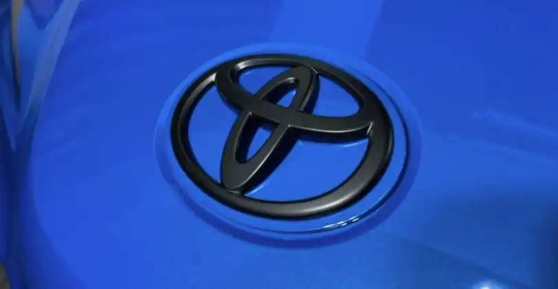 Custom Supra Badges - American Panda
