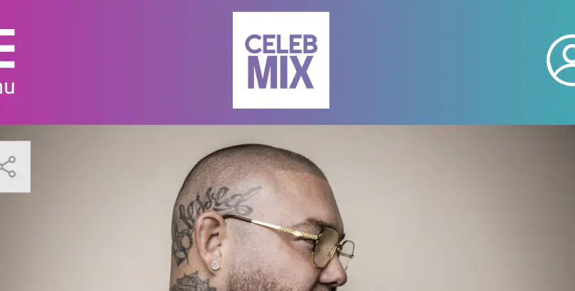 CELEBMIX ARTICLE