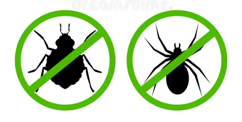 Green Mango Pest Control