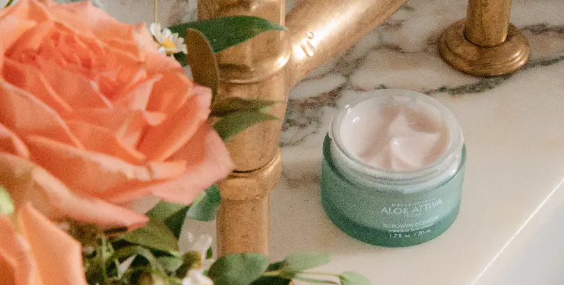 Check out our blog ~ The Aloe Effect 📚