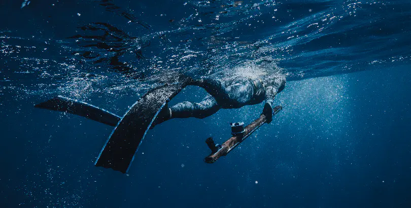 Neritic Diving♒︎Pole Spears♒︎Diving Equipment