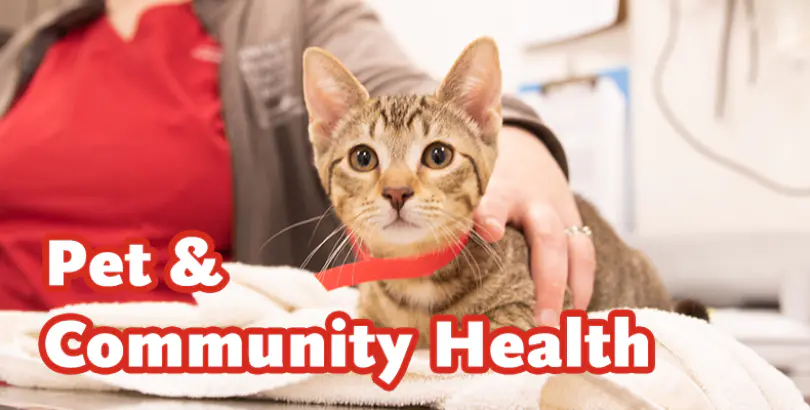 Pet & Community Health