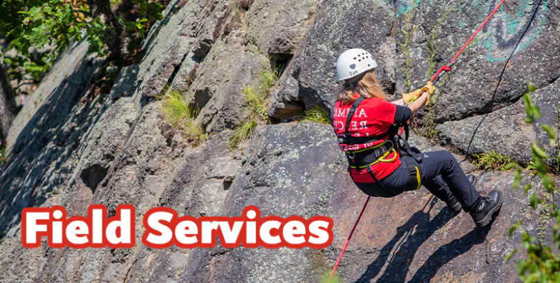 Field Services