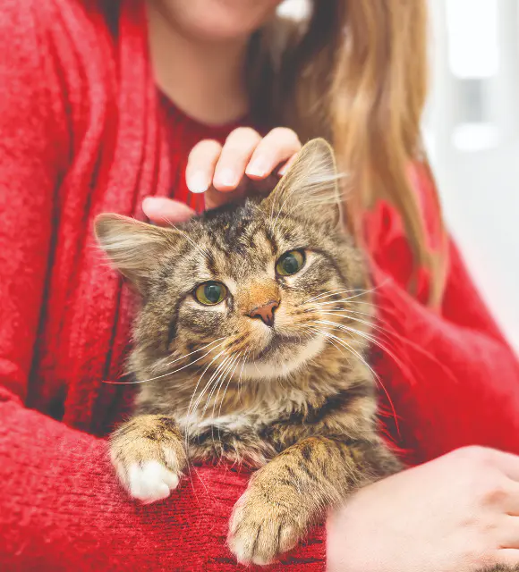 Support animals in need - Save lives and give animals the care, love, and second chance they deserve.