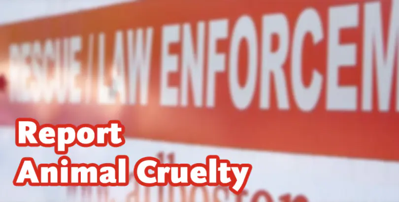 Report Animal Cruelty