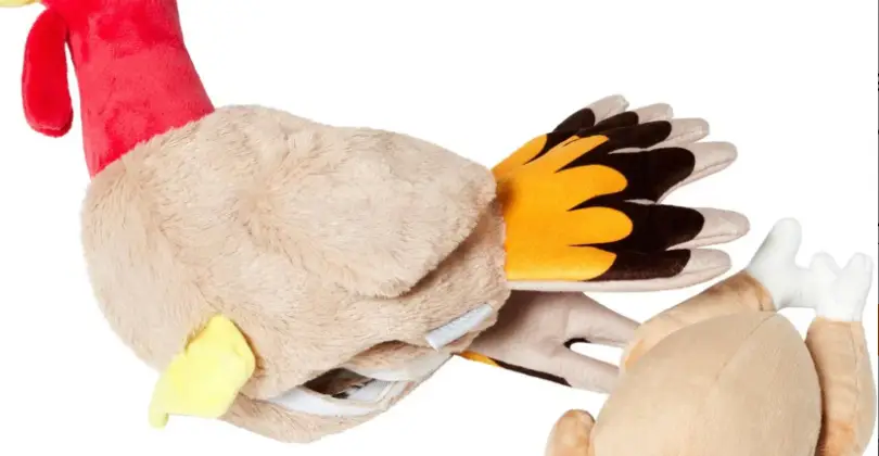 CHEWY 2-IN-1 TURKEY DOG TOY 