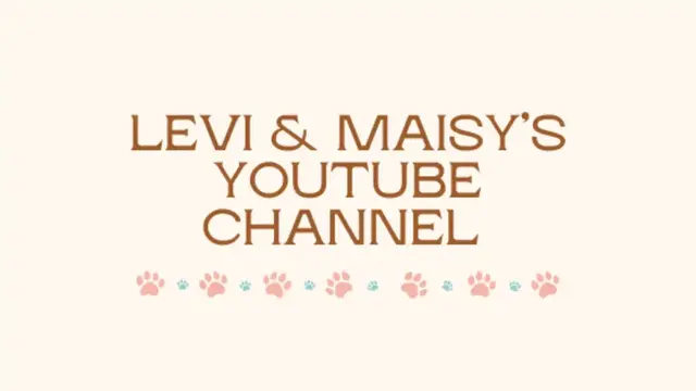 Levi & Maisy's Youtube