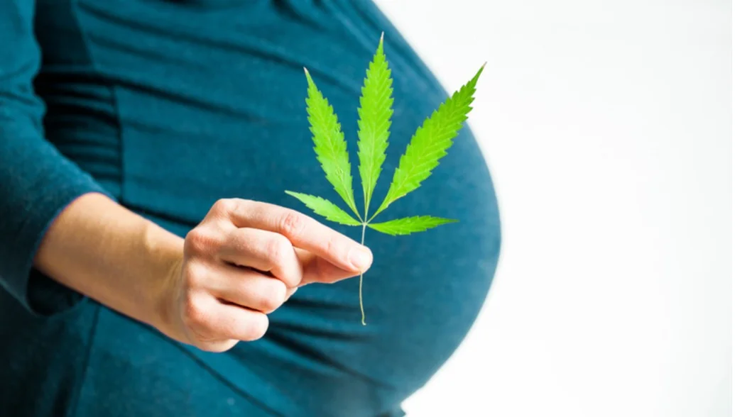 Canna Pregnancy/Postpartum Survey