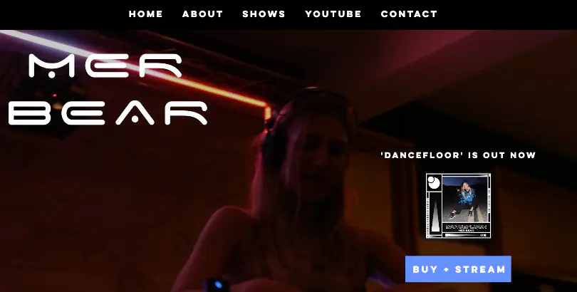 WEBSITE 