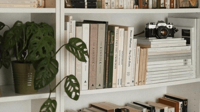 Boston Booktok Facebook Group