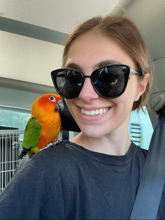 Rescued by Sabrina Facebook Page