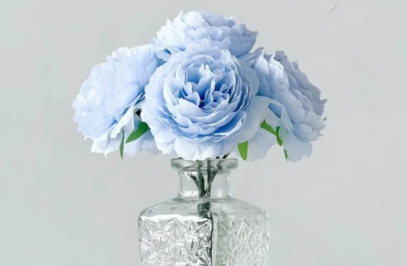 Blue & White Peonies