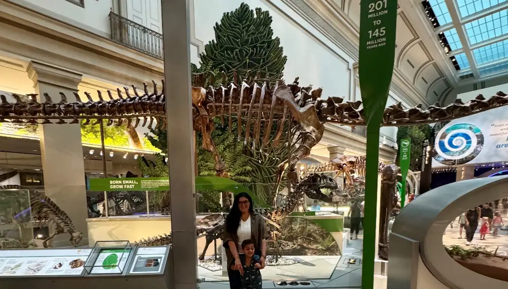 DINOSAURS 