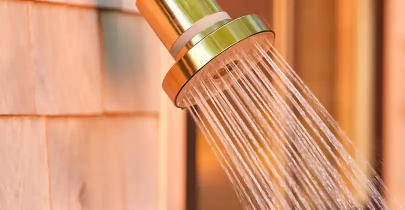 The Filtered Showerhead
