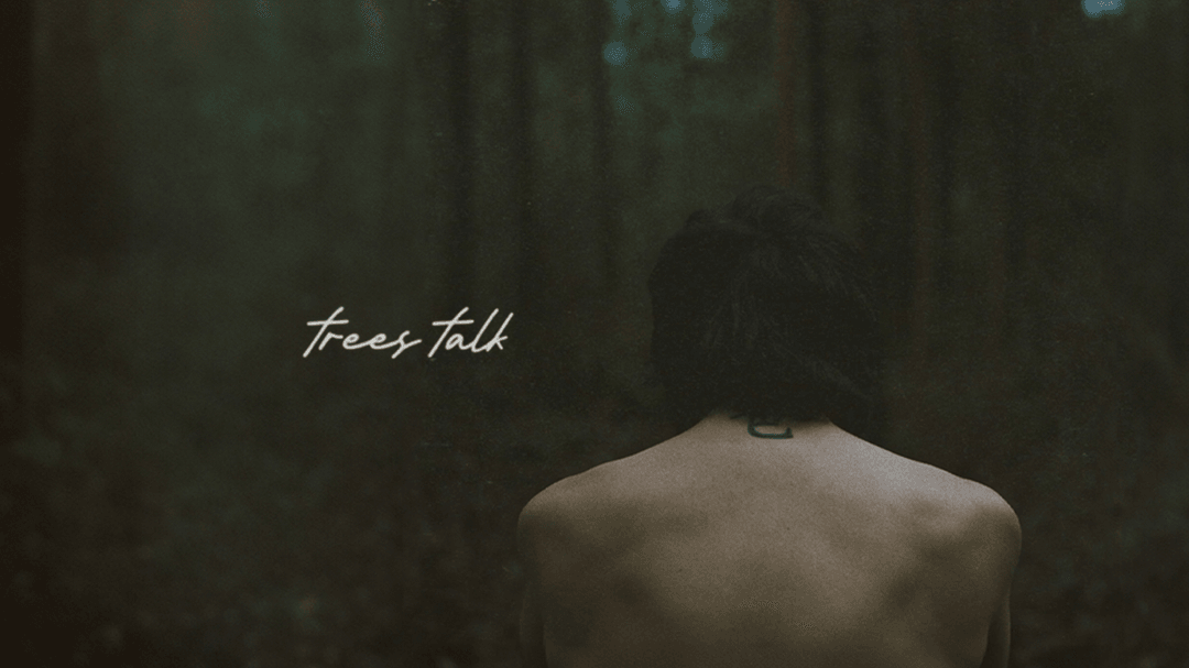 trees talk - OUT NOW