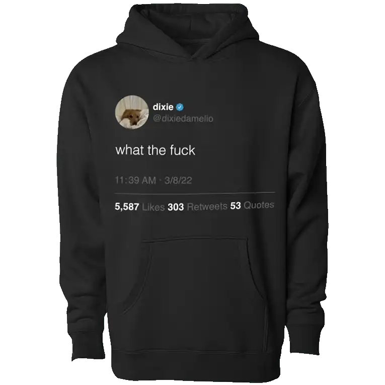 WTF Tweet Hoodie