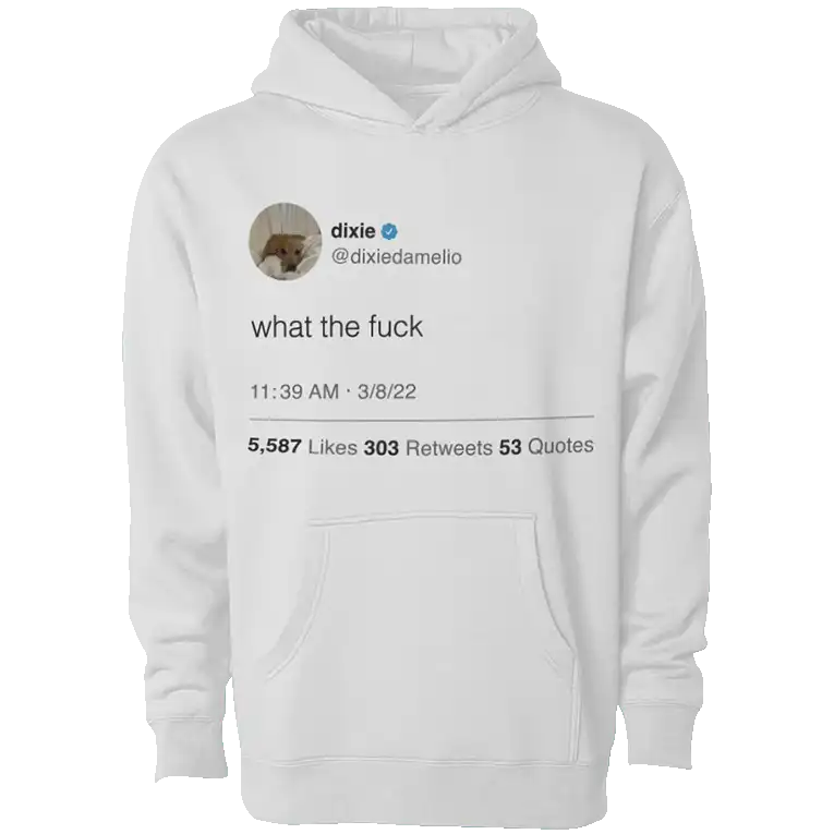 WTF Tweet Hoodie