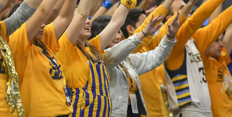 Shop the Official Golden Eagle Store!