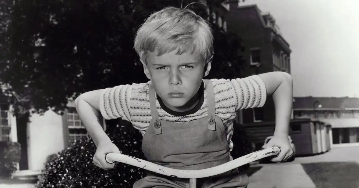 ‘Dennis the Menace’s Jay North Was 'Unhappy'