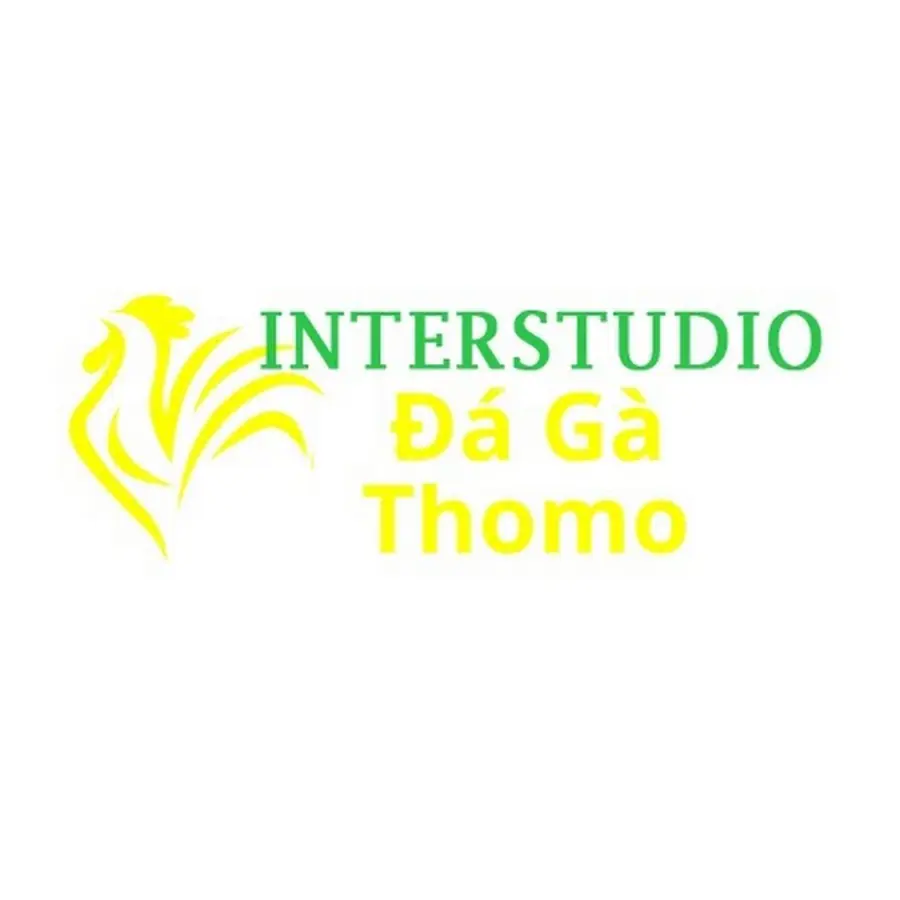  Đá Gà Trực Tiếp Thomo
