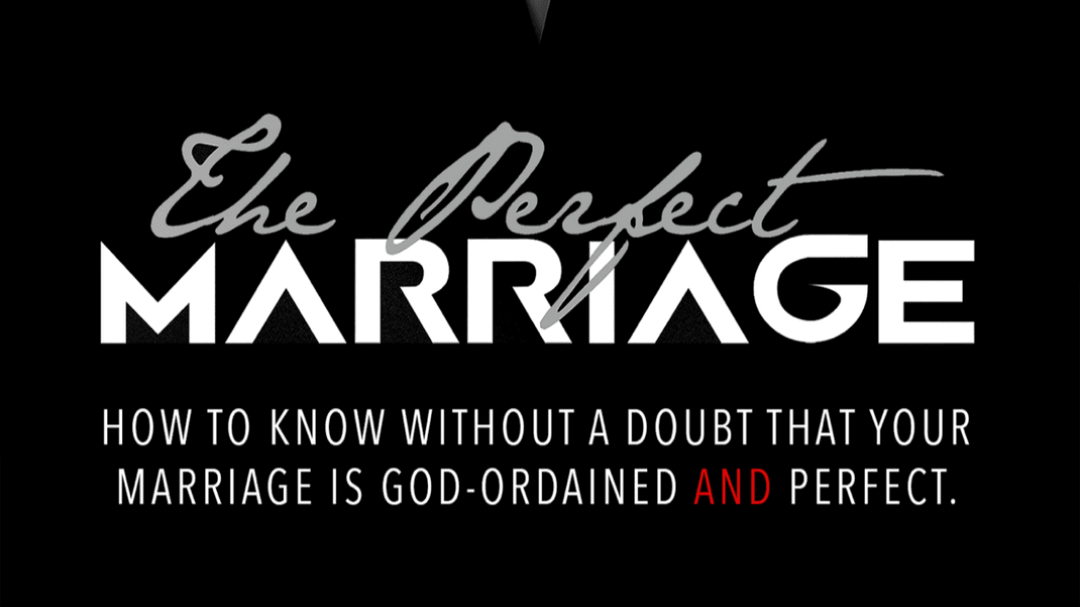 The Perfect Marriage (Book)