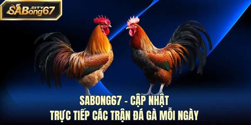 Sabong67