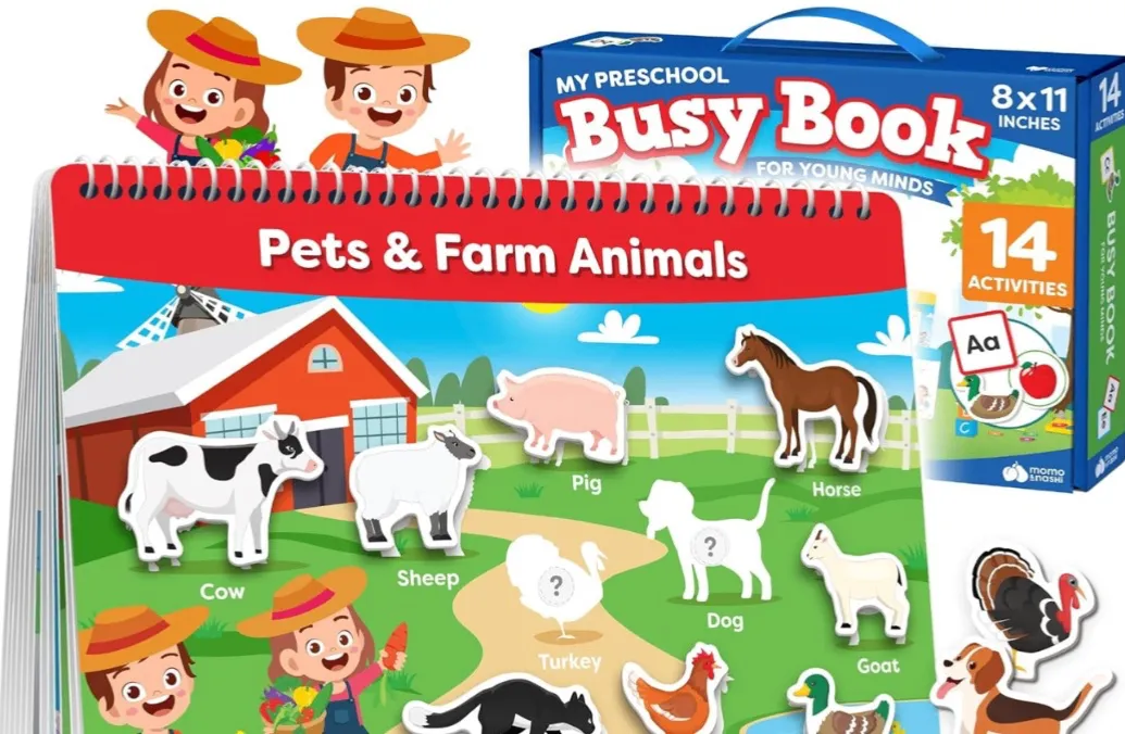Preschool Busy Book
