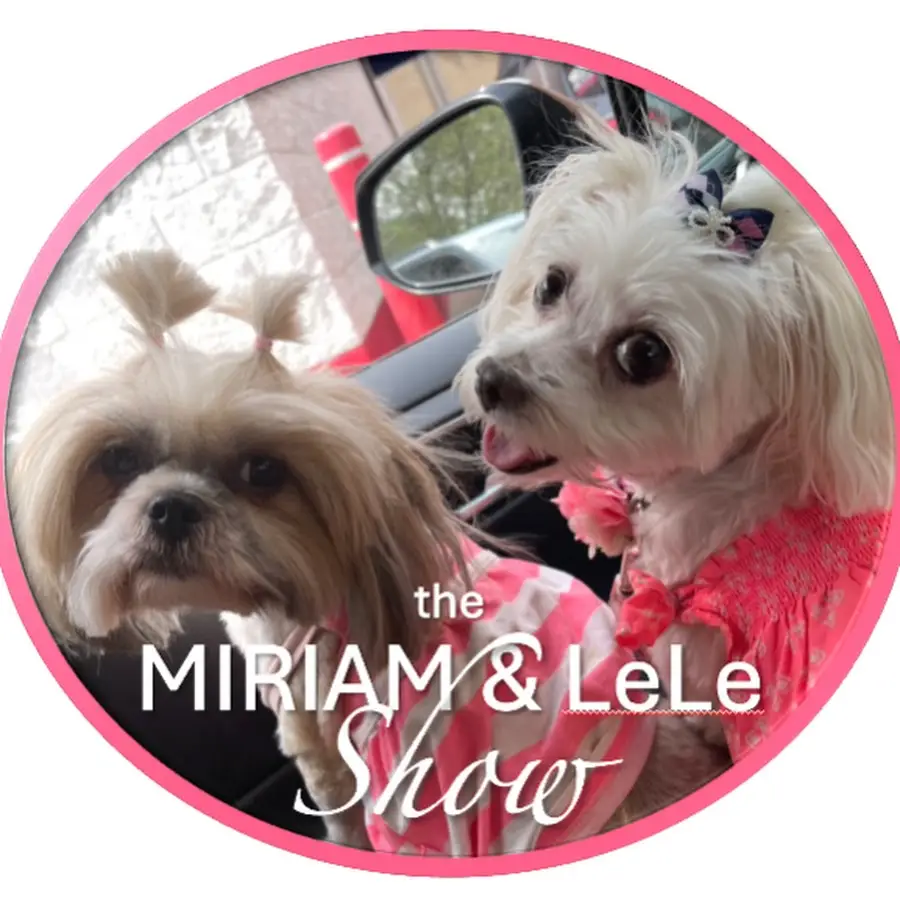 The Miriam & LeLe Show: Serivce Dogs Bringing JOY!