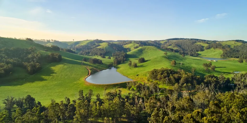 Explore Nannup: Forest Trails, River Adventures & Heritage Gems