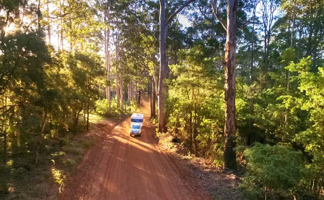 Southern Forests & Valleys: The Ultimate Travel Guide to WA's South West