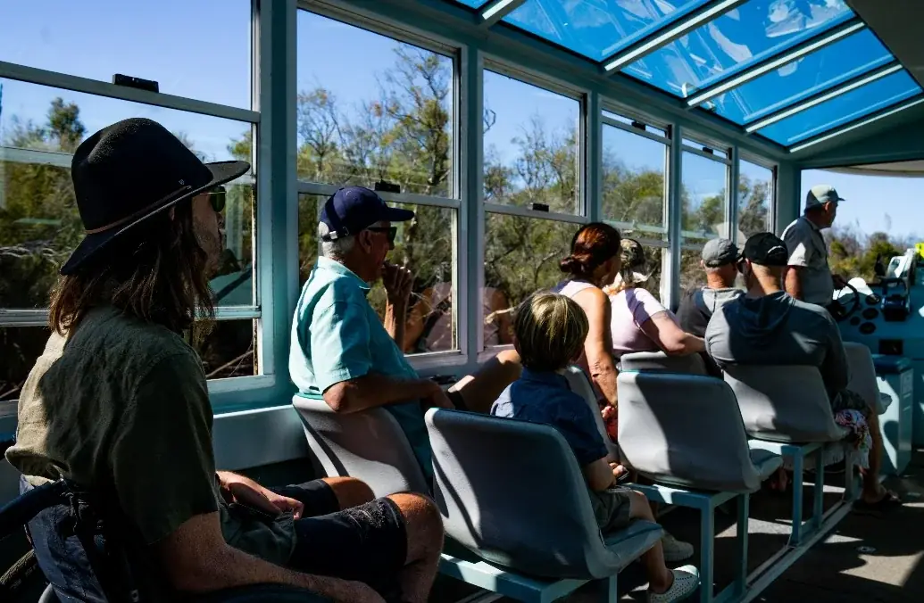 Accessible Touring in WA’s Southern Forests and Valleys 