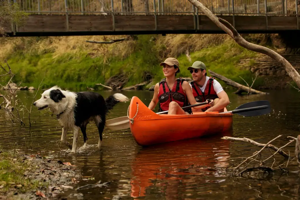 Top dog spots in the Southern Forests & Valleys