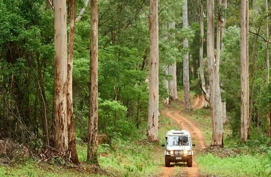 Pemberton Escape: Adventure and Serenity in Nature