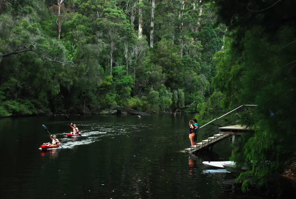 Paddling in the Southern Forests & Valleys