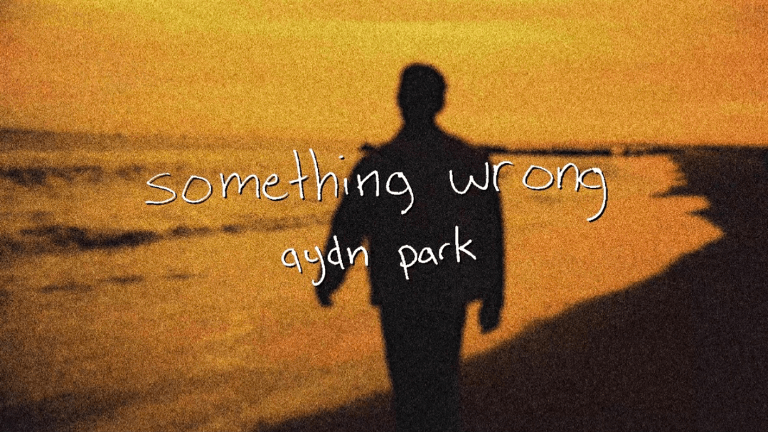 something wrong music video