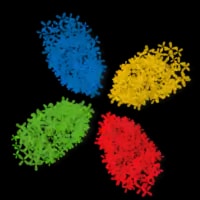 Avi's Foundation | Pixel inc - Chronograph