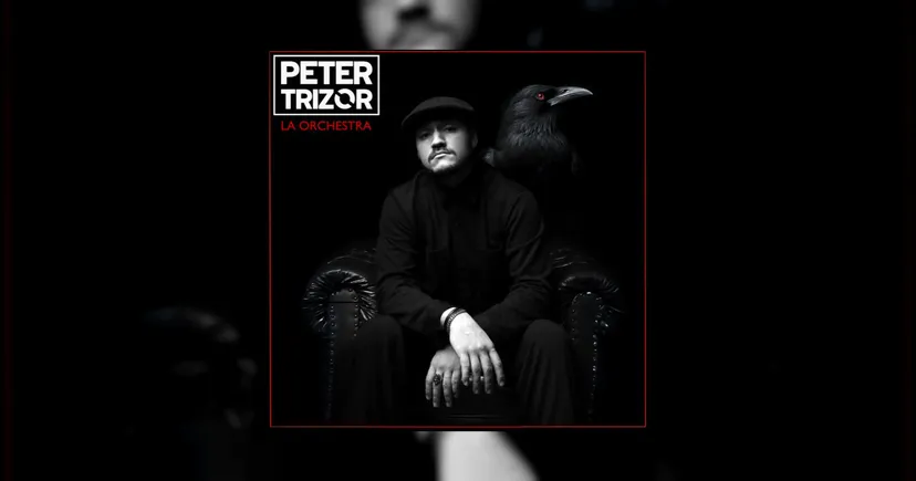 🔥La Orchestra by Peter Trizor 