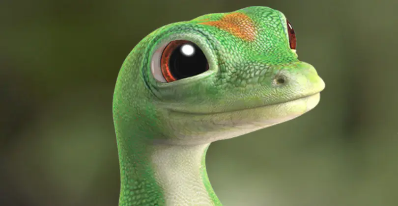Geico Insurance… DM me for FREE quote 🦎🚗🏡
