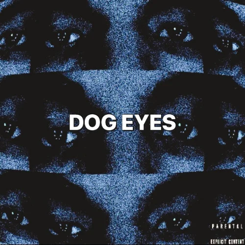 DOG EYES