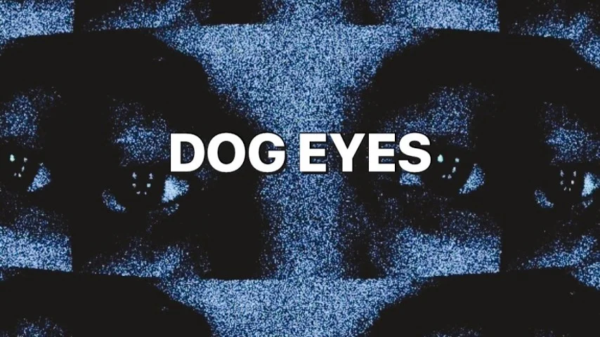 DOG EYES