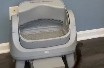 Pet Pivot Automatic Cat Box