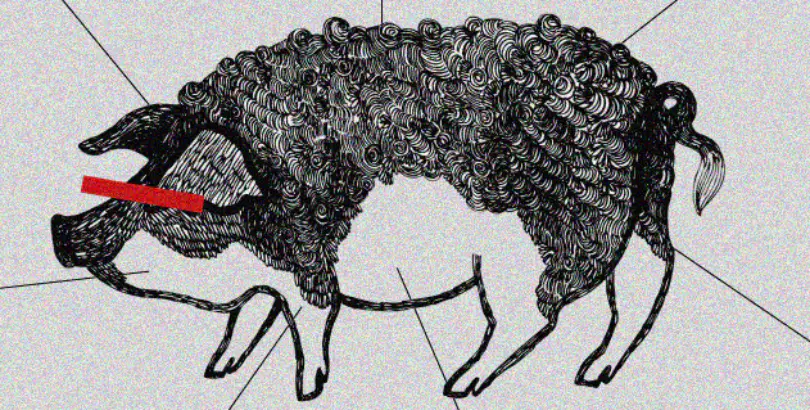 stream mangalica mink