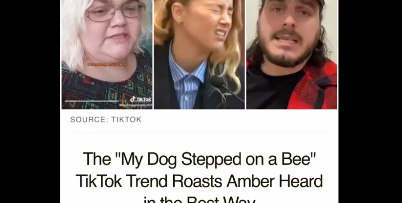Distractify Article